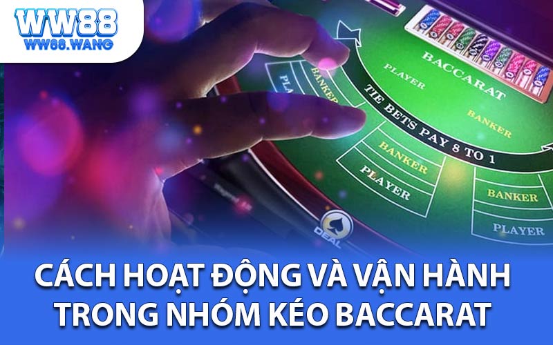 Nhóm Kéo Baccarat